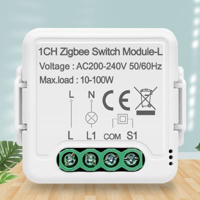 【CW】 ZigBee 3.0 Module Timing Countdown Function Works with Assistant