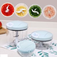 Manual Garlic Shredder Processor Chopper Vegetable Slicer Garlic Crusher Meat Grinders Quick Pipotter Lamins Facile Cutting