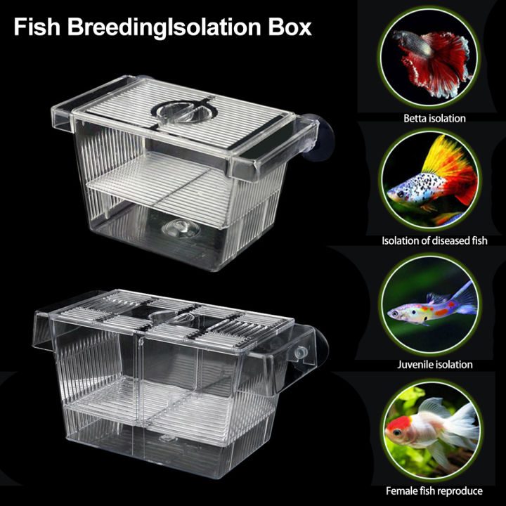 Double-Deck Clear water Breeding Isolation Box Aquarium Breeder water ...