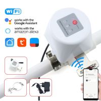 Tuya WiFi Water Valve Gas Shutoff  Ball Valve Timer Garden Smart Faucet Controller Support Alexa Google Assistant SmartLife Plumbing Valves