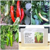 เมล็ดพันธุ์ พริกยักษ์ บิ๊กจิม (Big Jim Giant Pepper Seed) 30 เมล็ด คุณภาพดี ราคาถูก ของแท้