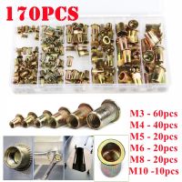 170PCS M3 M4 M5 M6 M8 M0 Multi SizesCarbon Steel Flat Head Rivet Nuts Set Zinc Plated Threaded Insert Nut Hardware Parts