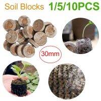 【hot】◊  Germination Soil Blocks Mixed Bran Peat Lignin Pellets Propagation Nutrient for Garden