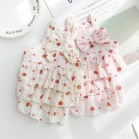 Strawberries Tiered Skirt Dog Clothes Kawaii Sweet Slip Dress Small Dogs Clothing Cat Summer Thin Korean Fashion Girl Pet Items Dresses