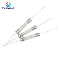 10PCS 6x30mm Ceramic Fuse Fast Slow Blow Tube Fuse With a Pin 6x30mm 250V 8A 10A 15A 20A 25A 30A