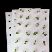 Hydroponic Foam Board 600x400x30mm Greenhouse Soilless Cultivation Equipment Vegetable Floating Plate With Holes 32MM