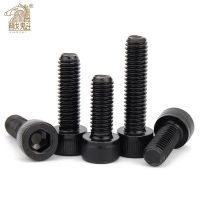 Hardness Grade 12.9 Allen Socket Head Screw M1.6 M2 M2.5 M3 M4 M5 M6 Hexagon Socket Head Cap Screws Hex Socket DIN912