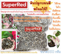 SuperRed soil ดินปลูกบอนสี พร้อมปลูก วัสดุปลูก มี ใบก้ามปู สำหรับ บอนสี บอน บอนด่าง มี ดินใบก้ามปู ใบก้ามปูหมัก และอื่นๆ