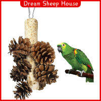 ของเล่นเคี้ยวสำหรับนกแก้วพร้อมตะขออุปกรณ์กรงของเล่นสำหรับนกคอกคาทีล Conure Parakeet