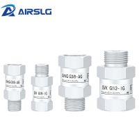 Vacuum logic valve safety valve check valves SVKG SVK Series M5-IG G1/8-IG G1I4-IG G1/2-AG G3I8-AG Aluminum throttle valves