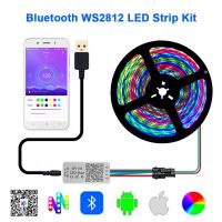 DC5V WS2812B Individually Addressable RGB Led Strip Light SP110E Bluetooth Controller USB Cable Kit 30/60/144Led Waterproof IP65 LED Strip Lighting