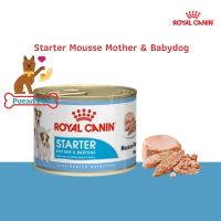 Starter Mousse Mother &amp; Babydog อาหารเปียกสำหรับแม่และลูกสุนัข 195 กรัม