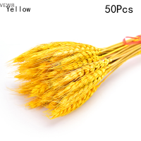 VEW8 100pcs DRY wheat EAR Flower ดอกไม้แห้งธรรมชาติ DIY Wedding PARTY Home Decor