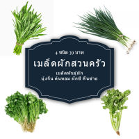 ?เมล็ดพันธุ์ผัก4ชนิด ผักบุ้งจีน ต้นหอม ผักชี คื่นช่าย พันธุ์พื้นบ้าน 1000+ เมล็ด 39 บาท ?งอกดีมีคู่มือการปลูก/ เมล็ดผักสวนครัว เมล็ดผัก