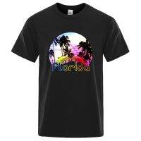 Retro Tshirts For Men Florida Sunset Beach Printed Dolphins Vintage Mens T Shirts Hop Cotton Gildan