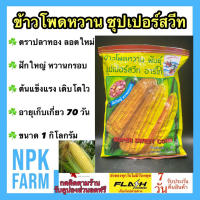 ข้าวโพดหวาน ซุปเปอร์สวีท อาร์โก้ ขนาด 1 กิโลกรัม หมดอายุ 10/66 ข้าวโพด ลอตใหม่ งอกดี ฝักใหญ่ รสชาติหวาน เนื้อนุ่ม กรอบ อร่อย ระยะเก็บ 65 วัน