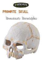 Exo Terra  PRIMATE  SKULL SMALL ที่ซ่อนตัว