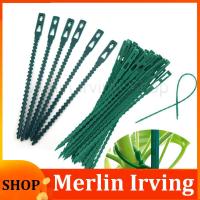 Merlin Irving Shop 50pcs Plastic Plant Cable Ties Reusable Tools Garden Grow Kit Tree Climbing Support Gardening Planter 13.5cm 17cm