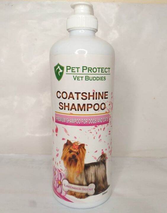 [VET SUPPORT] 500ML COATSHINE SHAMPOO / LAVENDER SCENT / PREMIUM SHAMPOO FOR DOGS AND CATS