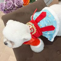 Pet Cute Princess Skirt Autumn Winter Medium Small Dog Clothes Embroidery Dress Kitten Puppy Warm Wool Yorkshire Maltese Poodle Dresses