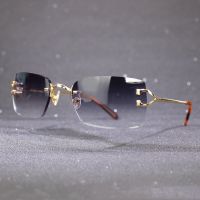 ▬ Carter Glasses Rimless Carter