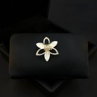 【CW】 Brooch Women 39;s Accessories Anti Exposure Buckle Pin Fixed Corsage Rhinestone Jewelry Pins