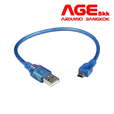 Mini USB Cable (USB 2.0 A to USB Mini B) 30 CM