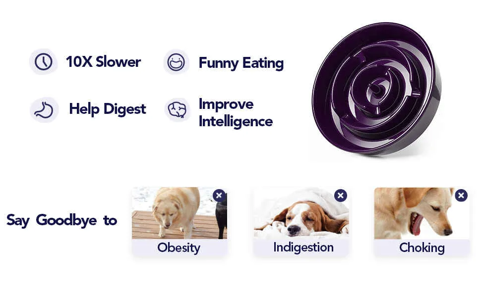 how can i make my dog eat slower