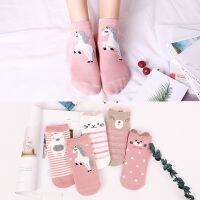 【Sock shop】5คู่ใหม่น่ารักถุงเท้าผู้หญิงฮาราจูกุสัตว์การ์ตูนน่ารักถุงเท้าผ้าฝ้าย Meias Kawaii ครุยถุงเท้าชุดสุภาพสตรีหญิง Size34 40