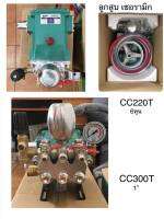 ปั้มพ่นยา3 สูบ PAYOO CC220T-CC300T ขนาด 3/4"-1"  ปิดปลายสายได้