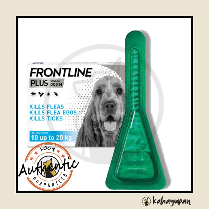 is frontline plus safe for older dogs