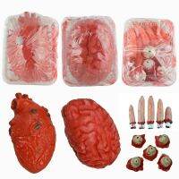 【CW】 Horror Halloween Decoration Props Artificial Heart Tricky Brain Severed Finger Eyeball Party Bar Halloween Decorative Props