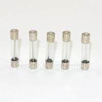 100x Glass Tube Fuse 6 x 30mm F1A 1A 1Amps 6x30mm 250V Quick Fast Blow Fuses  Accessories