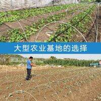 [COD] Gardening support vegetable shed insulation flower arch agricultural pole glass fiber AliExpress