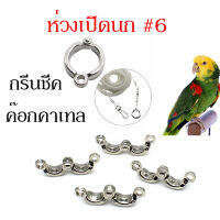 ห่วงขานกแก้ว ห่วงเปิดนก ห่วงนก#6( นกค็อกคาเทล, คอนัวร์) ถอดใส่ง่าย ไม่เป็นสนิม