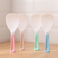 ♞☃✹ Non-stick Rice Spoon Simple And Fashionable Creative Food Grade Household Rice Spoon Vertical Rice Spoon Rice Cooker Spoon Thick