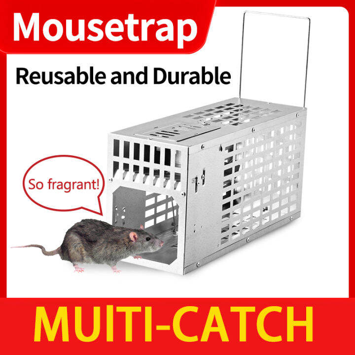 2-Pack, BESEI Humane Mouse Trap - Animal Friendly Rodent (Mouse and Rat)  Trap, Catch and Release