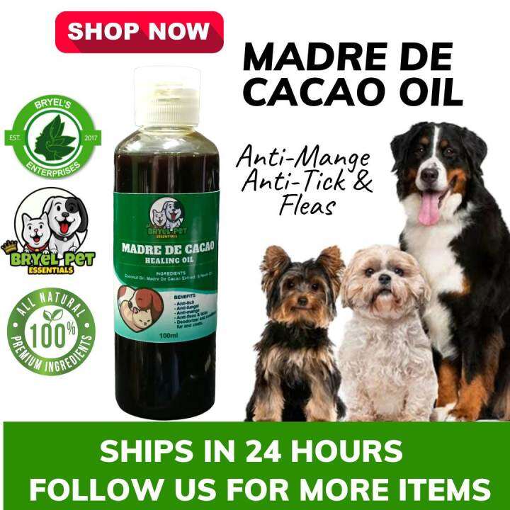 Flea Preventative For Cats With Demodectic Mange photo