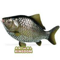 Animal Kingdom - โมเดล Crucian Carp ปลาตะเพียน ขนาด 17.00 CM (จากสงขลา)