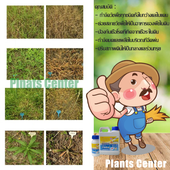 plants-center-พร้อมส่ง-ผลิตภัณฑ์กำจัดวัชพืช-สูตรเผาไหม้-กำจัดหญ้า-ไร้สารเคมี-กำจัดหญ้าใบแคบ-กำจัดหญ้าใบกว้าง-หญ้าข้าวนก-หญ้ากระดูกไก่