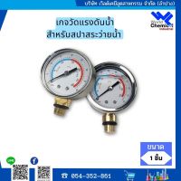 เกจวัดแรงดันถังทรองสระว่ายน้ำ Pressure gauge