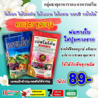 ครบชุดบำรุงต้น ⚡️ เทรซแม็กซ์ (100g)+ออสโมโค้ท 13-13-13 (100g) ธาตุอาหารรอง-ธาตุอาหารเสริม ทำให้ต้นพืชแข็งแรง สมบูรณ์ ฮอร์โมนพืช ปุ๋ยละลายช้า