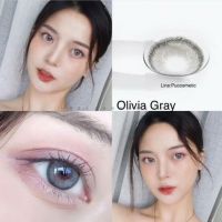 คอนแทคเลนส์ เลนส์กรองแสง / Kitty Kawaii : Mini Olivia gray