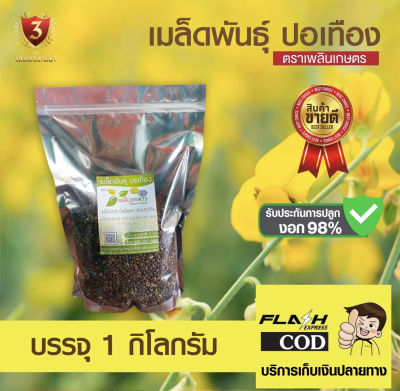 เมล็ดพันธุ์ปอเทือง (ขนาด 1 กก.) คัดสะอาด อัตราการงอก 98% สินค้าพร้อมส่ง