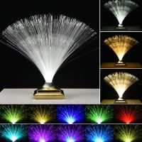 Solar LED Light LED Fiber Optic Lamp Color Changing Fiber Optic Light USB Rechargeable Fiber Optic Centerpiece Remote Control