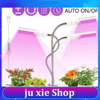 JuXie store 3-HEAD indoor LED grow Light Full Spectrum Growth Clip Fitolampy Growing Phyto Lamp hydro tent box for cultivo indoor growbox a2