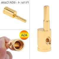 ♂ Amp Input Reducer 4 to 6 8 to 10 Gauge Amp Wire Reducer Terminal Power Ground Adapters Gold Plated Brass