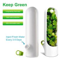 【hot】 Herb Storage Fresh-Keeping Cup Type Food Vegetable Preservation Bottle Coriander