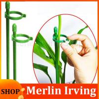 Merlin Irving Shop 5/10pcs plant Flower Potted Support stand Holder Stake Stander Fixing Tool Gardening Supplies Shrub for Orchid Bonsai Daisy q1