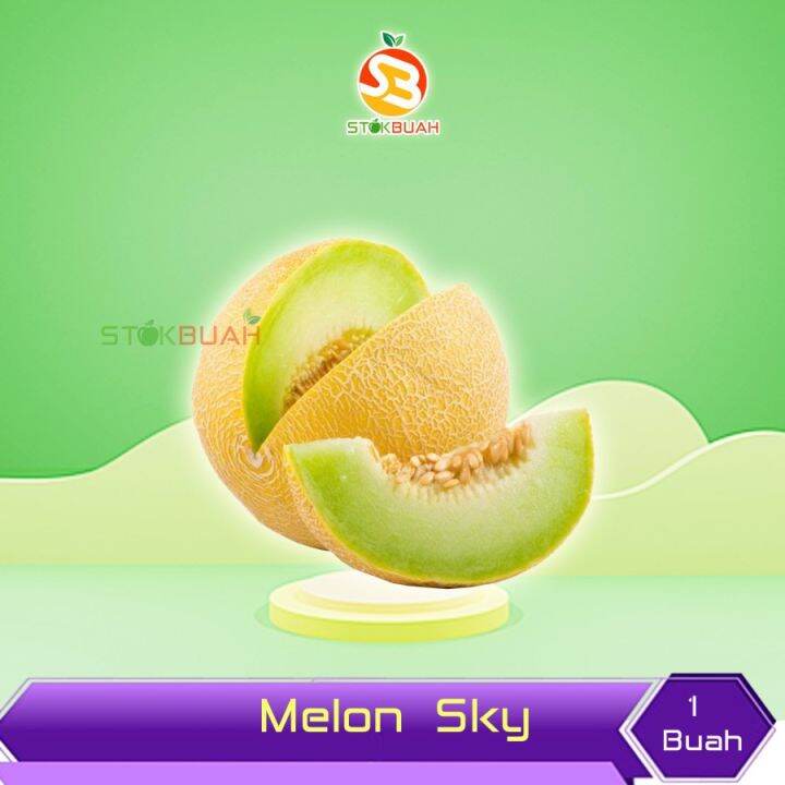Melon Madu / Melon Sky Rocket Lazada Indonesia